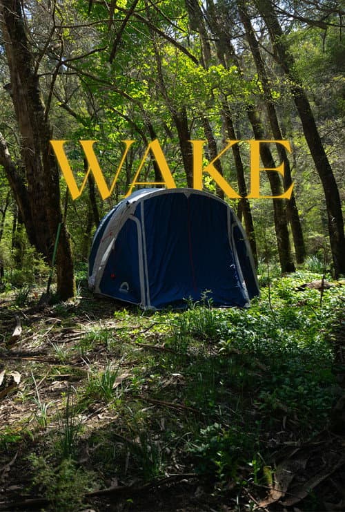 Постер: Wake