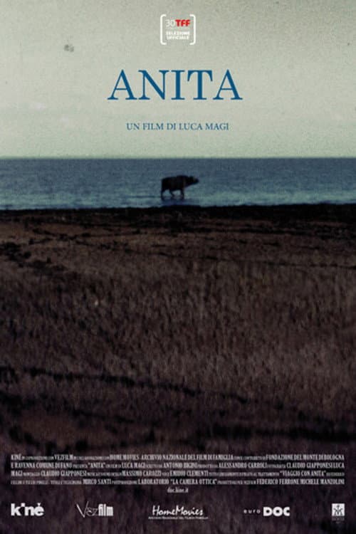 Постер: Anita