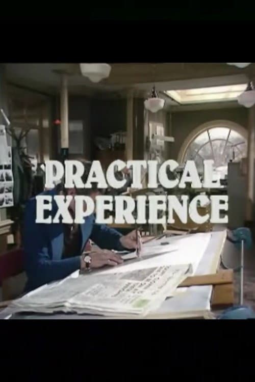 Постер: Practical Experience