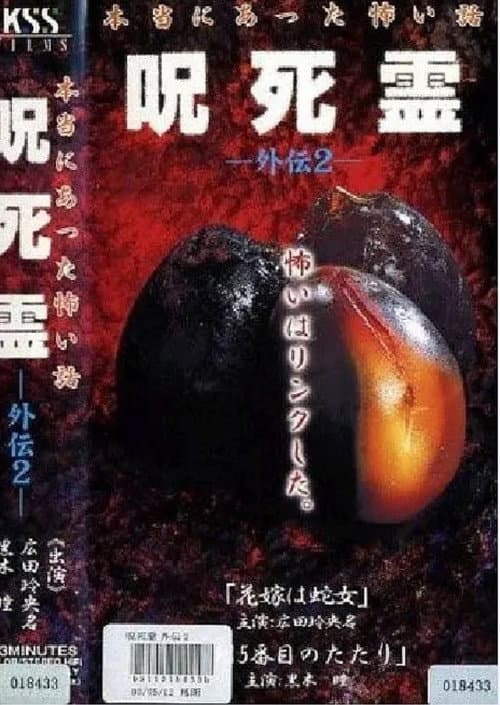 Постер: 咒.死.灵外传2 本当にあった怖い話 呪死霊 外伝2