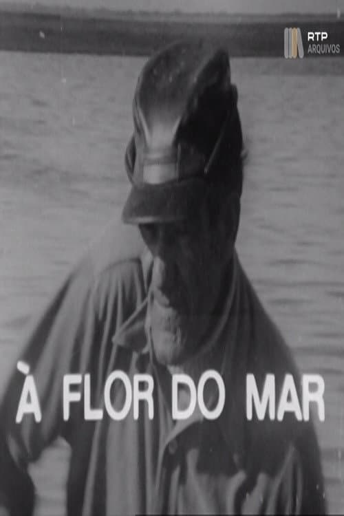 Постер: À Flor do Mar