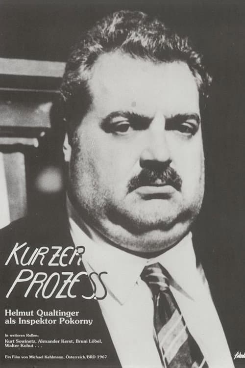 Постер: Kurzer Prozeß