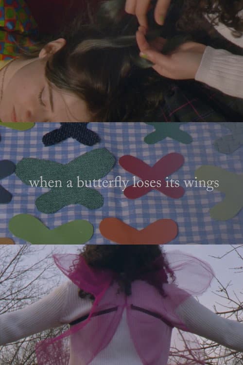 Постер: When A Butterfly Loses Its Wings