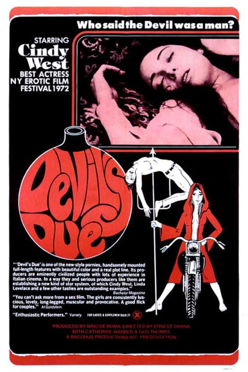 Постер: Devil's Due