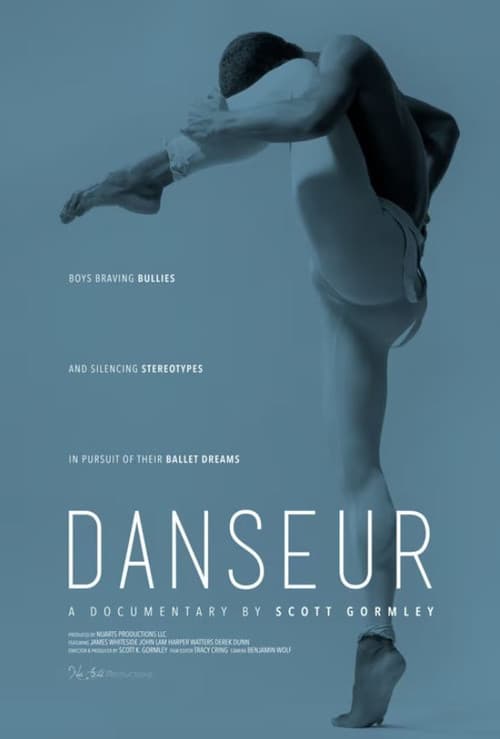 Постер: Danseur