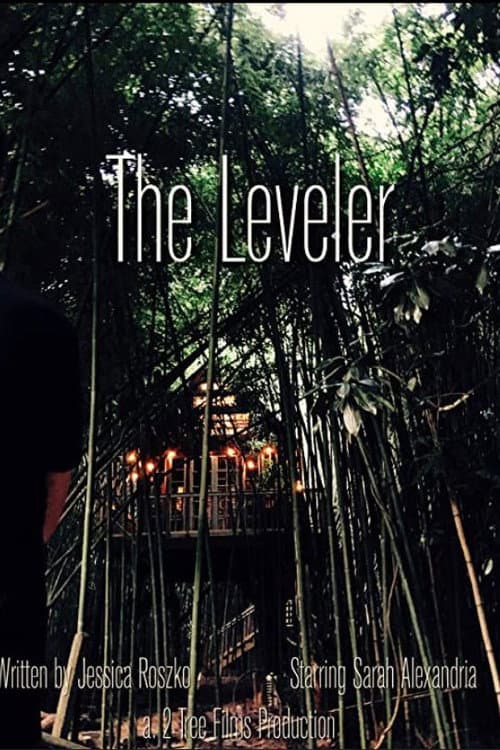 Постер: The Leveler
