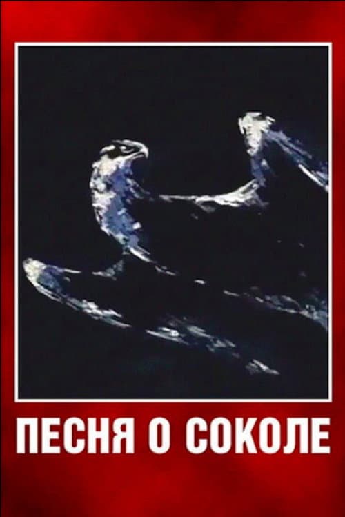 Постер: Песня о соколе