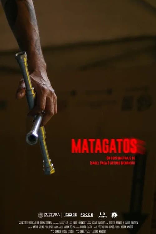 Постер: Matagatos