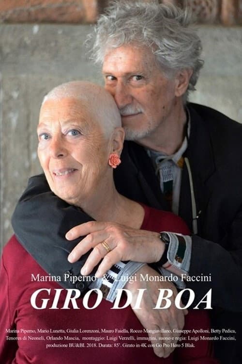 Постер: Giro di boa