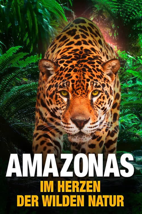 Постер: AMAZON 3D