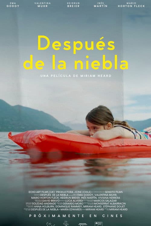 Постер: Después de la niebla