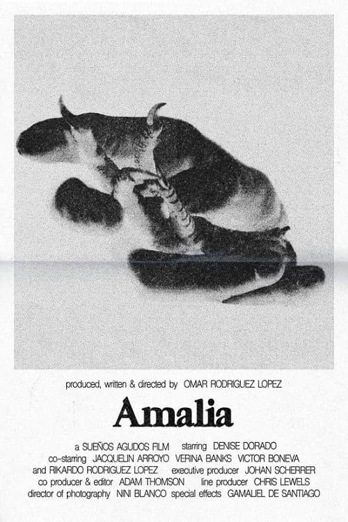 Постер: Amalia