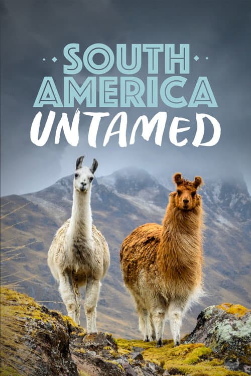 Постер: South America Untamed