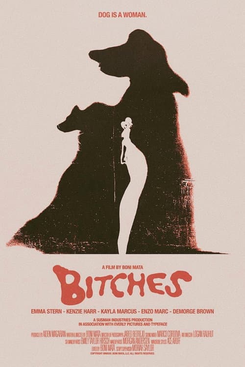 Постер: Bitches