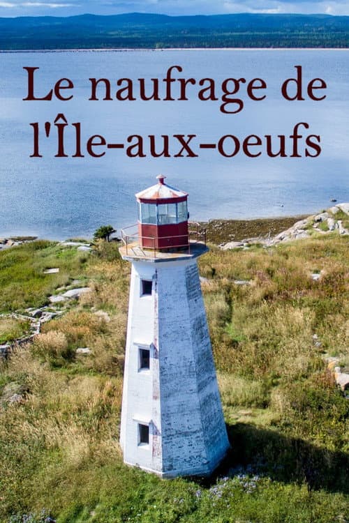 Постер: Le naufrage de L'Île aux Oeufs