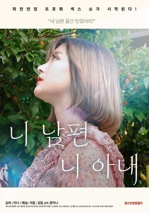Постер: 니 남편 니 아내