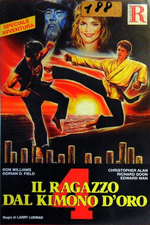 Постер: Золотое кимоно воина 4