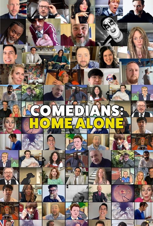 Постер: Comedians: Home Alone