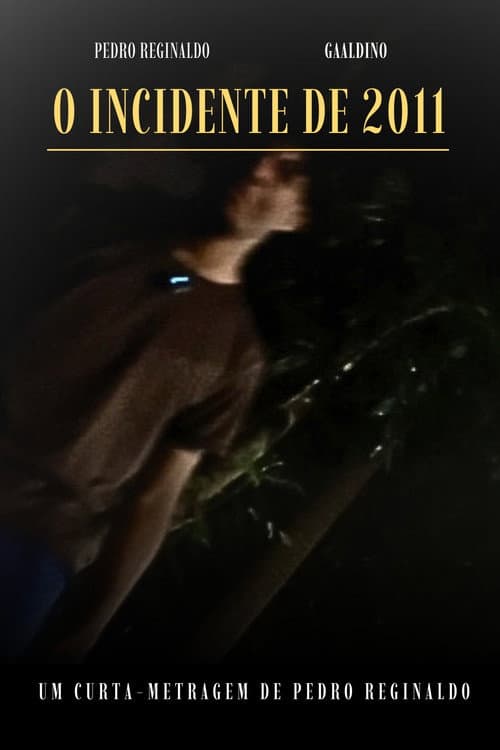 Постер: O INCIDENTE DE 2011