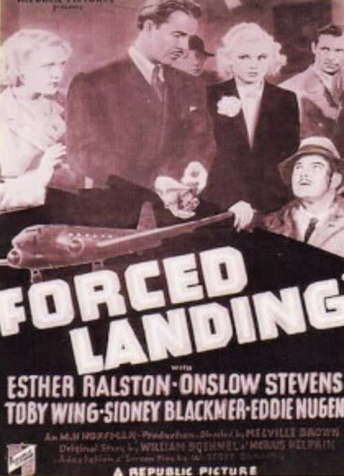 Постер: Forced Landing