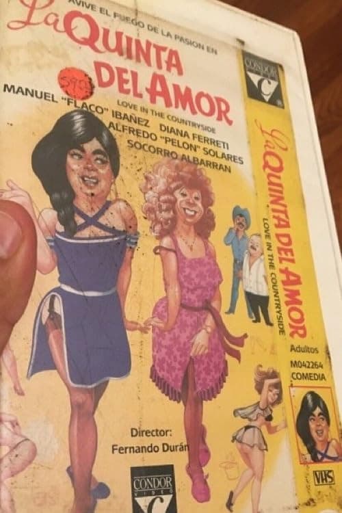 Постер: La quinta del amor
