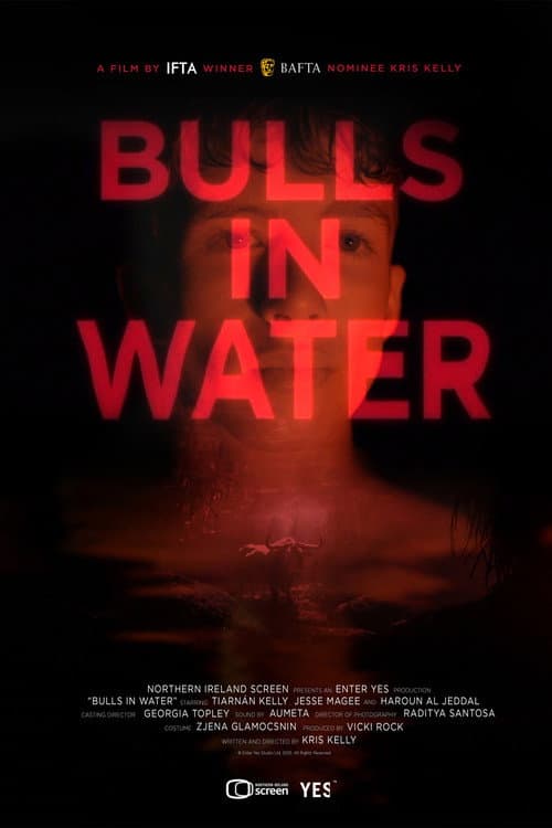 Постер: Bulls in Water
