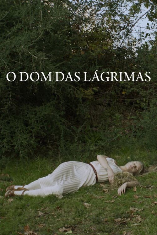 Постер: O Dom das Lagrimas