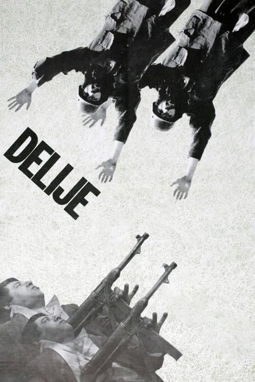 Постер: Делије