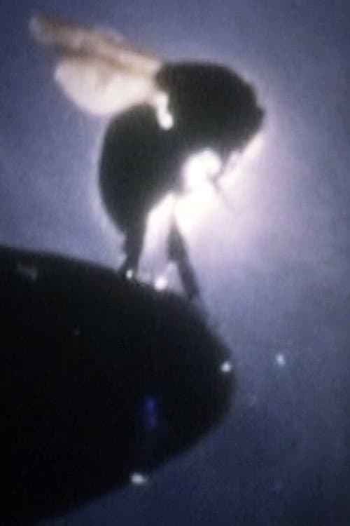 Постер: UFOの飛び方講座