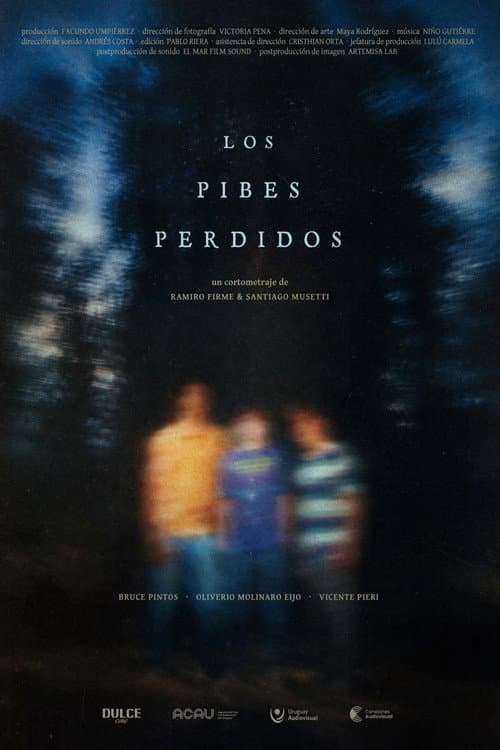 Постер: Los Pibes Perdidos