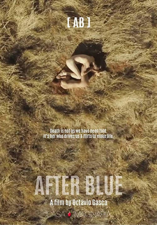 Постер: Después del azul