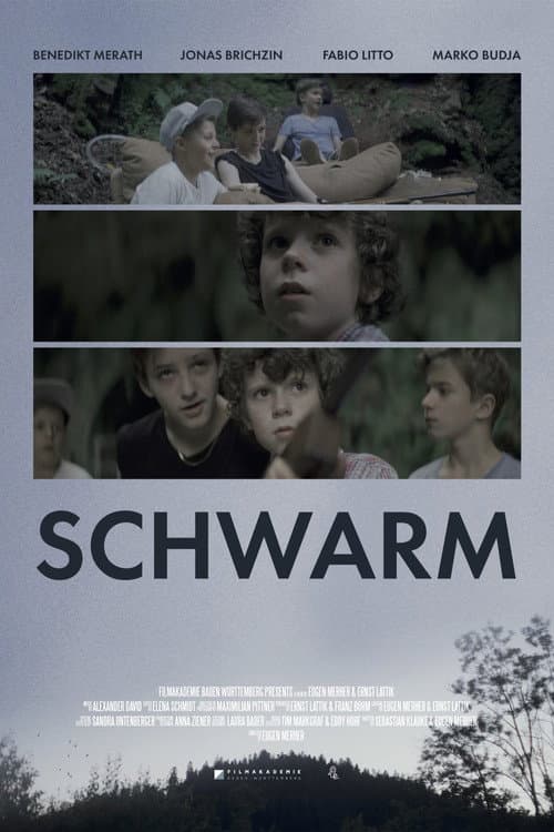 Постер: Schwarm