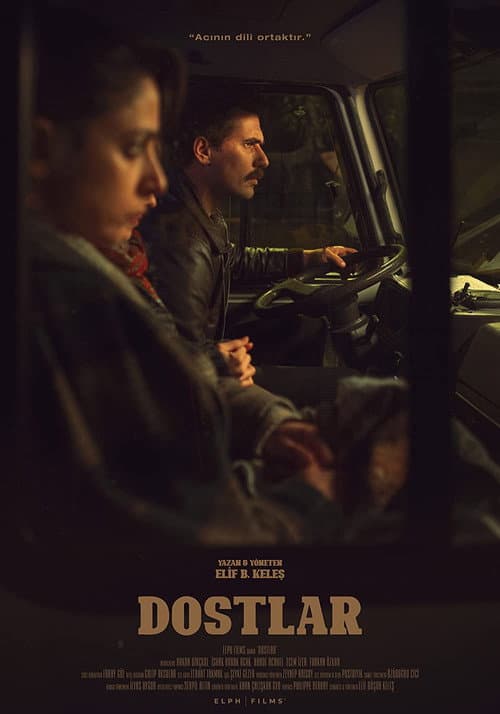 Постер: Dostlar