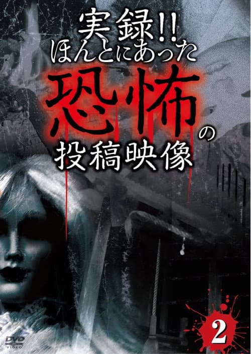 Постер: 実録!!ほんとにあった恐怖の投稿映像 2
