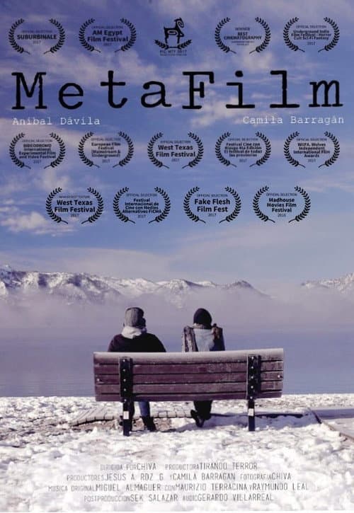 Постер: MetaFilm