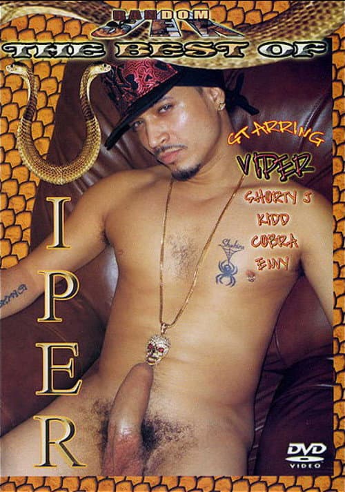 Постер: The Best of Viper