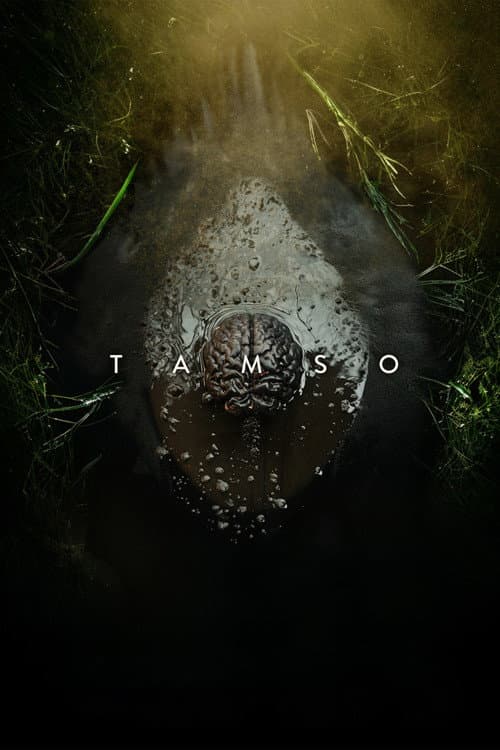 Постер: Tamso
