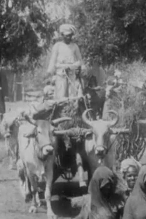 Постер: Salvation Army Parade in Indian Village No.2
