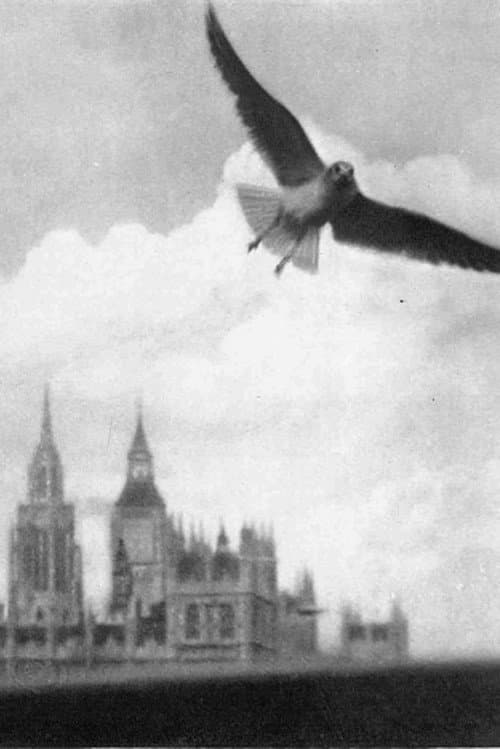 Постер: London Visitors