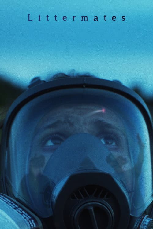 Постер: Littermates