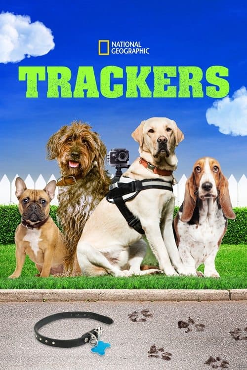 Постер: Trackers