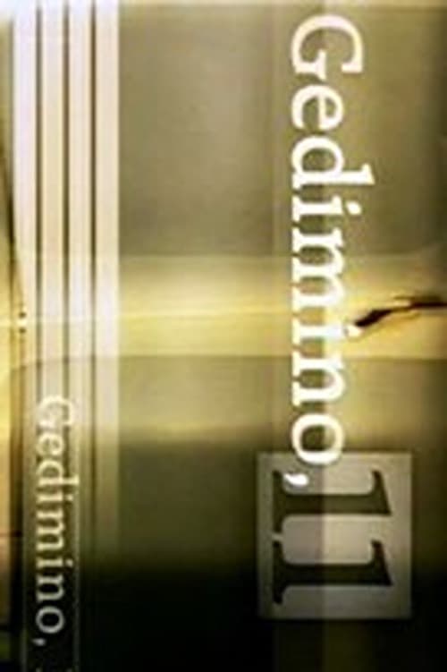 Постер: Gedimino 11