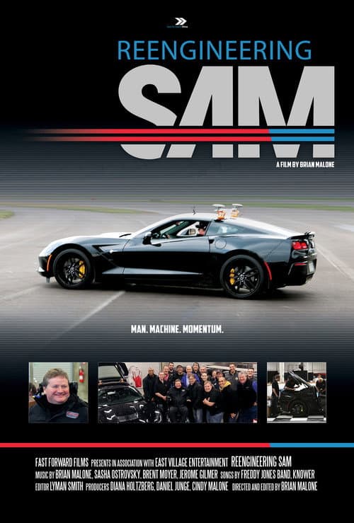 Постер: Reengineering SAM