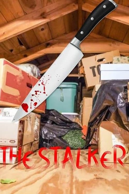 Постер: The Stalker
