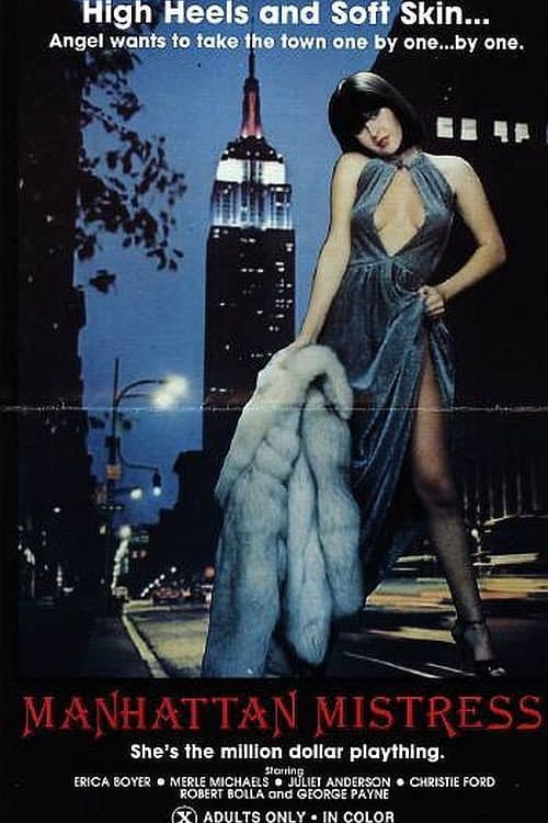 Постер: Manhattan Mistress