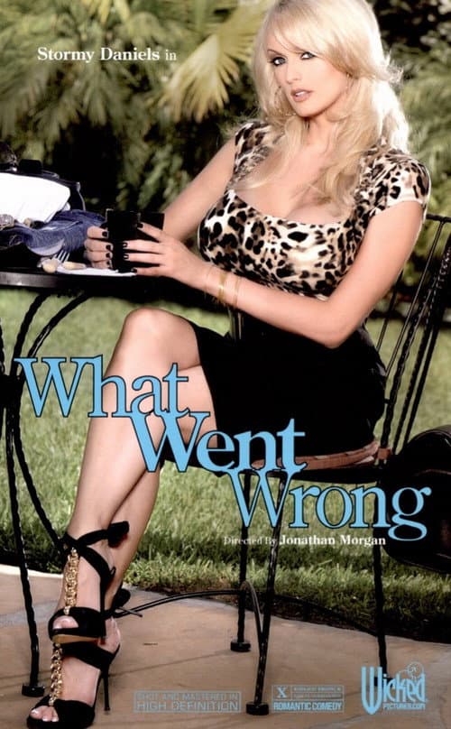 Постер: What Went Wrong