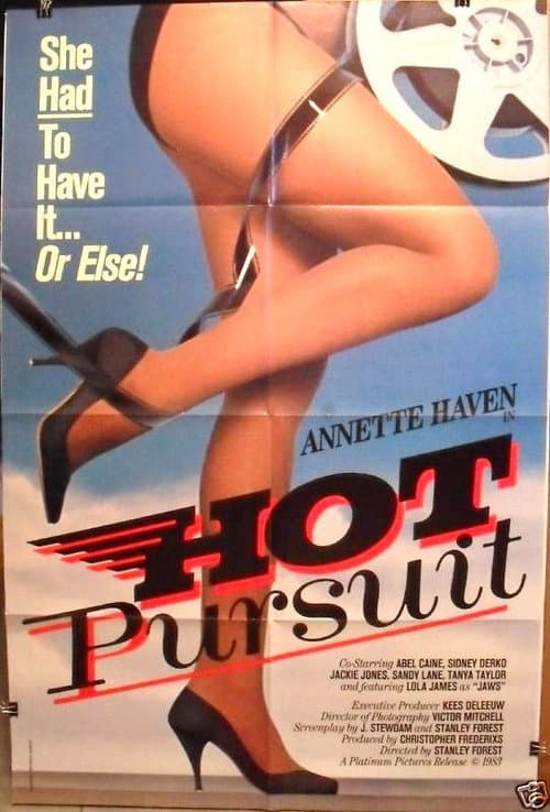 Постер: Hot Pursuit