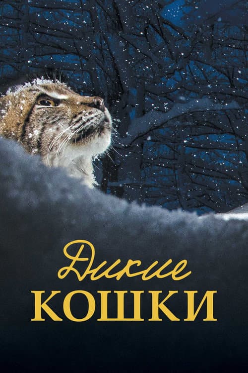 Постер 2