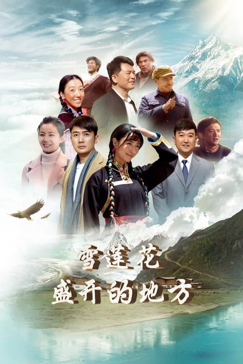 Постер: 雪莲花盛开的地方