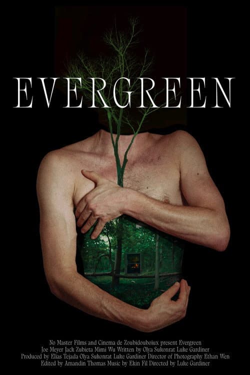 Постер: Evergreen